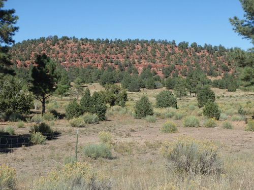 GDMBR: Red Mesa.